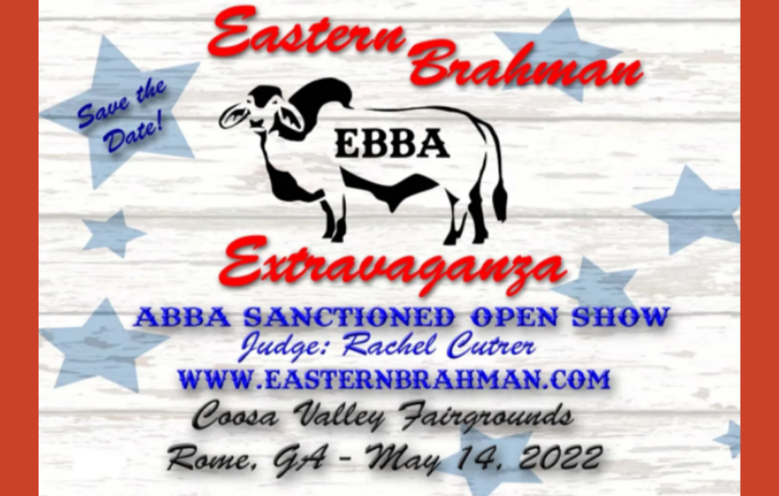 EBBA EXTRAVAGANZA Save the Date