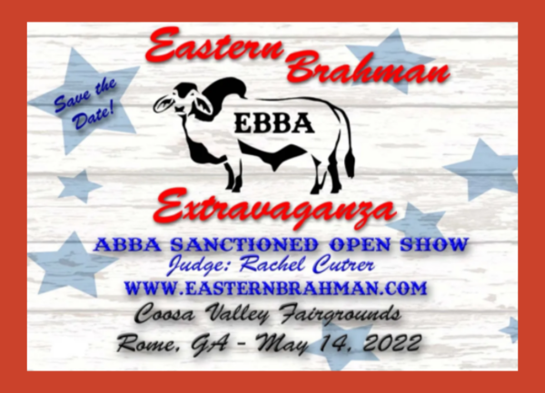 EBBA EXTRAVAGANZA Save the Date